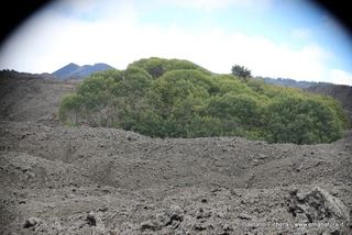 nte Egitto-26-10-2014 14-17-09
